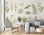 Botanical Herbs Wallpaper : Minimalist Wildflower and Fern Chart Mural
