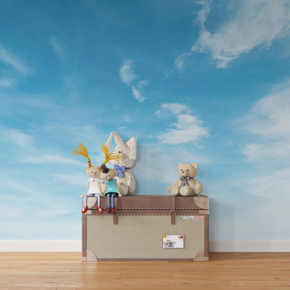 Blue Sky Wallpaper : Light Clouds Ceiling Mural