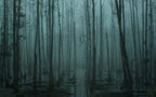 Dark Misty Forest Wallpaper : Teal Swamp Woodland Mural - flat design