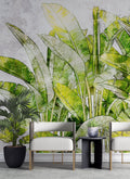 Green Banana Leaf Wallpaper : Watercolor Tropical Mural