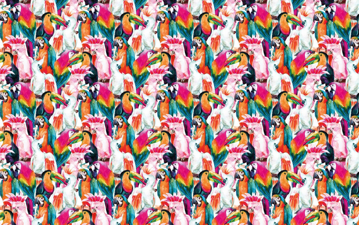 Colorful Parrot Wallpaper : Tropical Bird Pattern Mural - flat design