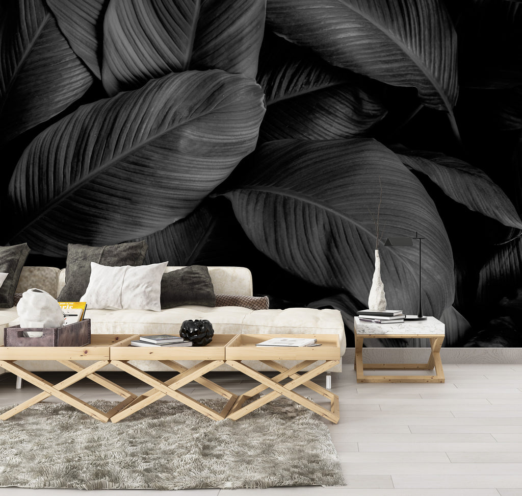 Black Rubber Plant Wallpaper : Dark Leaf Mural
