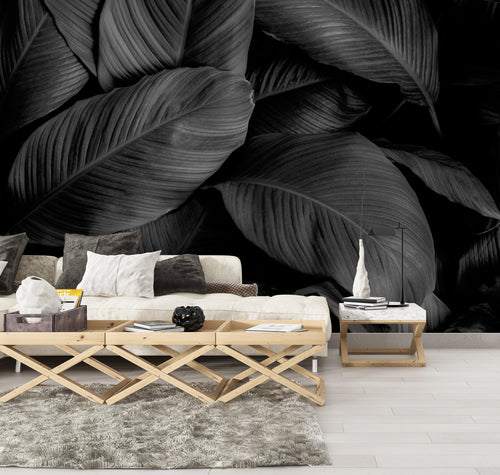 Black Rubber Plant Wallpaper : Dark Leaf Mural