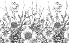 Black and White Wildflower Wallpaper : Sketch Botanical Border Mural - flat design
