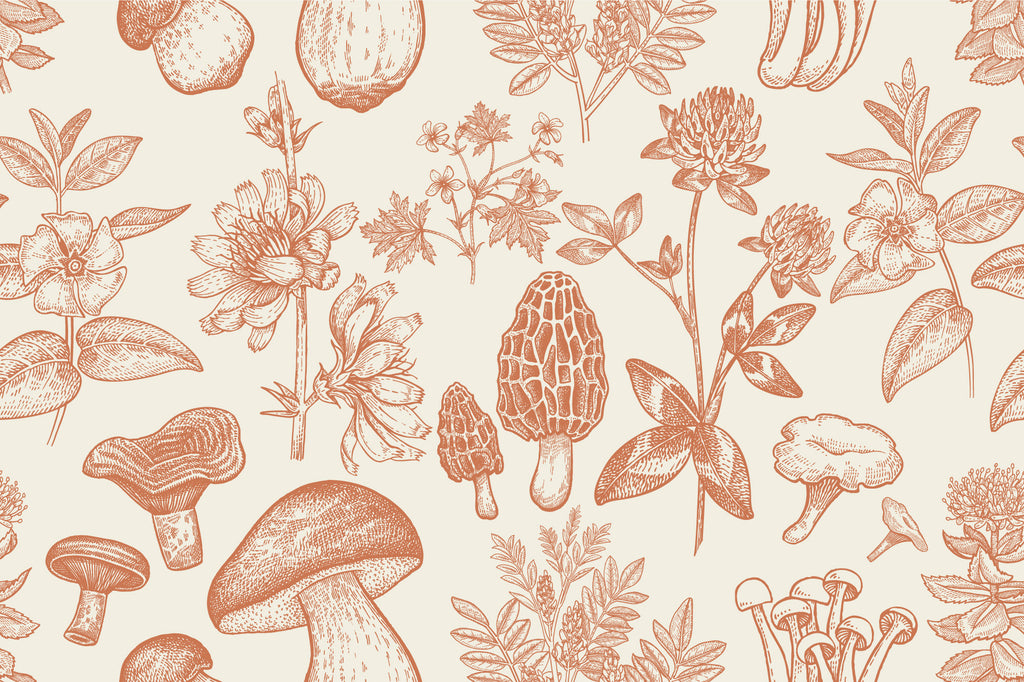 Botanical Mushroom Wallpaper : Terracotta Sketch Pattern Mural - flat design