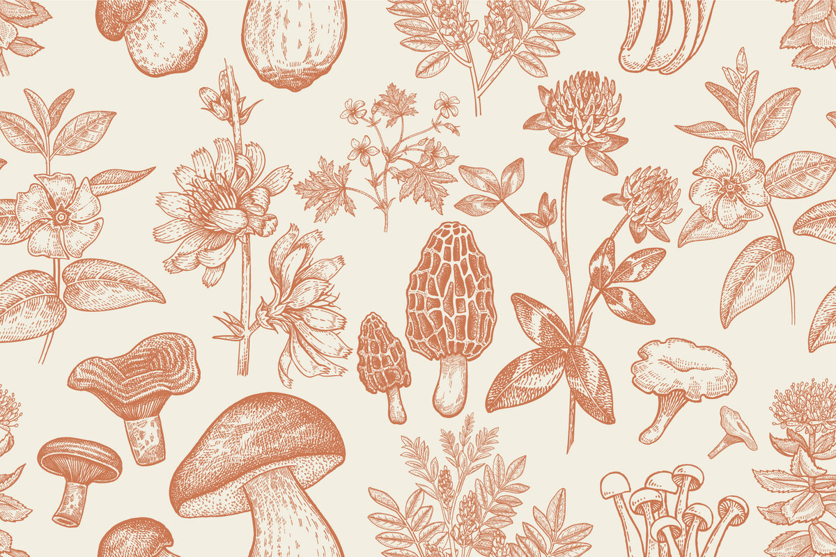 Botanical Mushroom Wallpaper : Terracotta Sketch Pattern Mural - flat design