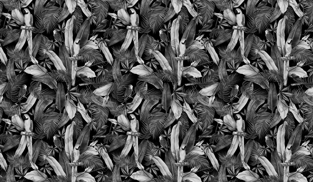 Monochrome Parrot Wallpaper : Black and White Tropical Mural - View 2