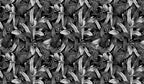Monochrome Parrot Wallpaper : Black and White Tropical Mural - View 2