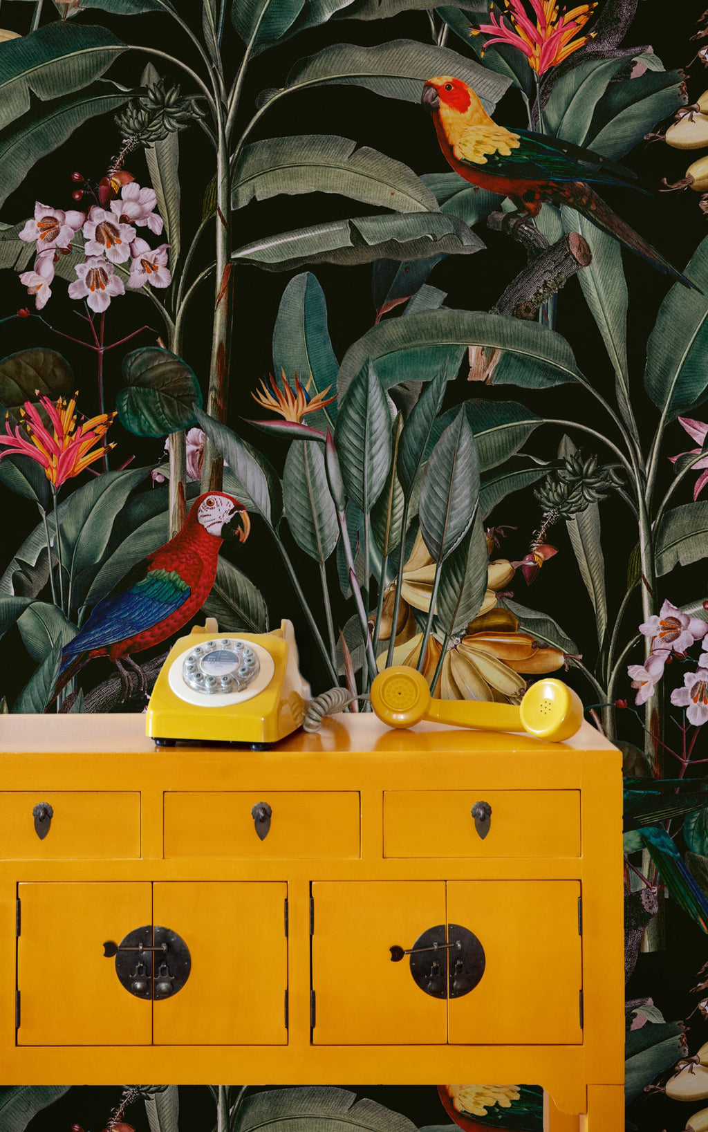 Dark Parrot Jungle Wallpaper : Tropical Orchid and Leaf Mural - View 5