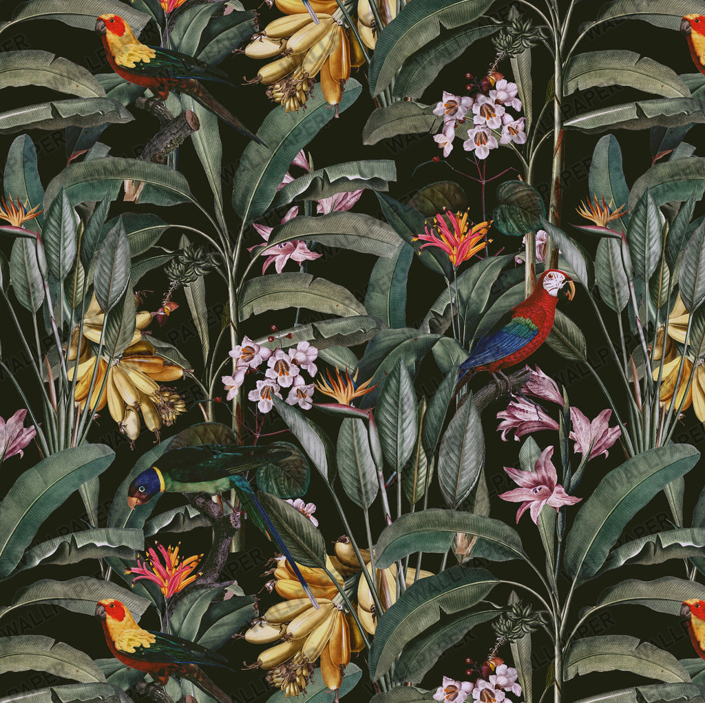 Dark Parrot Jungle Wallpaper : Tropical Orchid and Leaf Mural - View 2