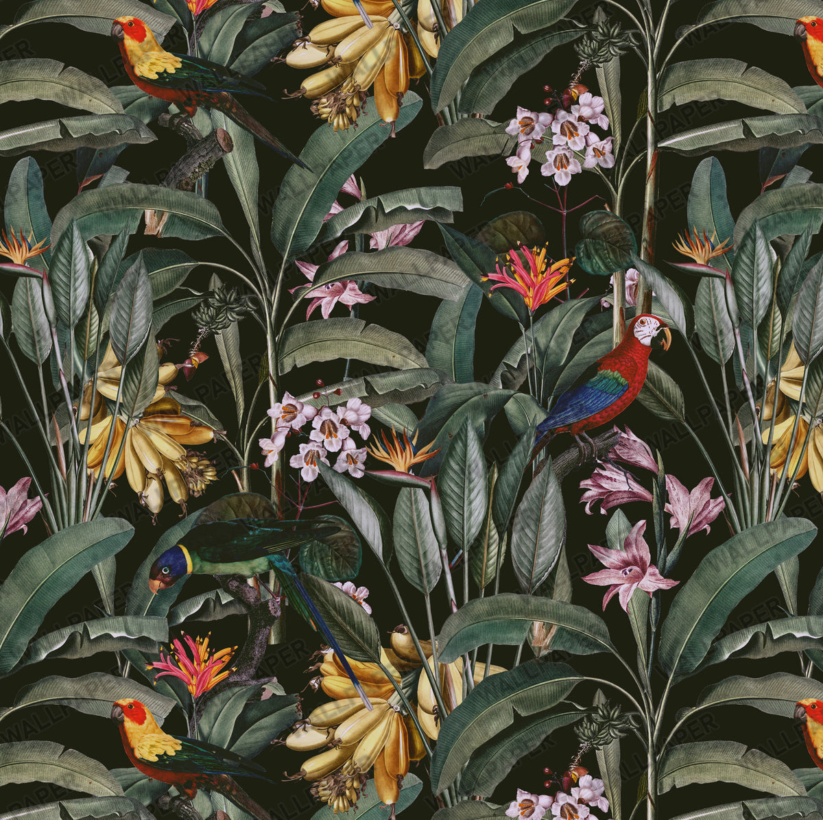 Dark Parrot Jungle Wallpaper : Tropical Orchid and Leaf Mural - View 2