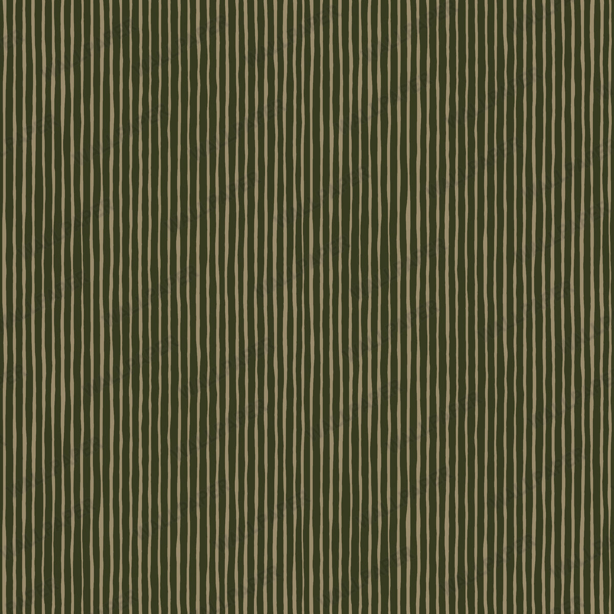 Olive Painted Stripe Wallpaper : Hand Drawn Green Line Mural - View 2