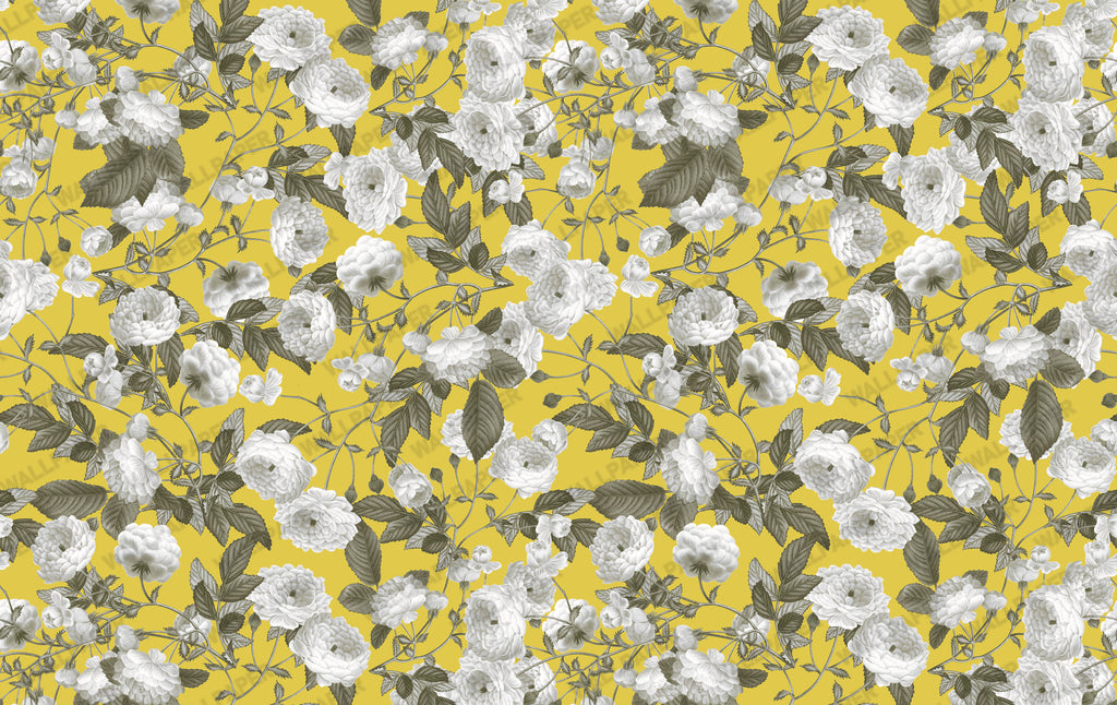 Mustard Rose Wallpaper : Yellow Ground White Bloom Wall Mural - View 2