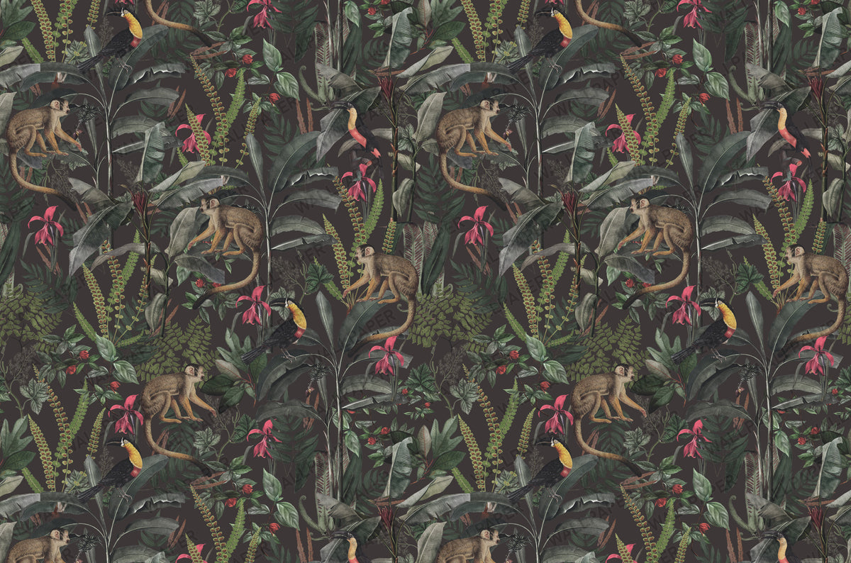 Dark Jungle Monkey Wallpaper : Tropical Leaf and Toucan Mural - View 2