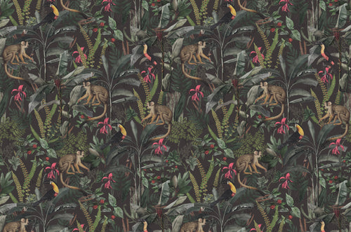 Dark Jungle Monkey Wallpaper : Tropical Leaf and Toucan Mural - View 2