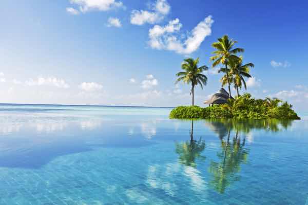 Tropical Island Lagoon Wallpaper : Palm Tree Ocean Mural - flat design