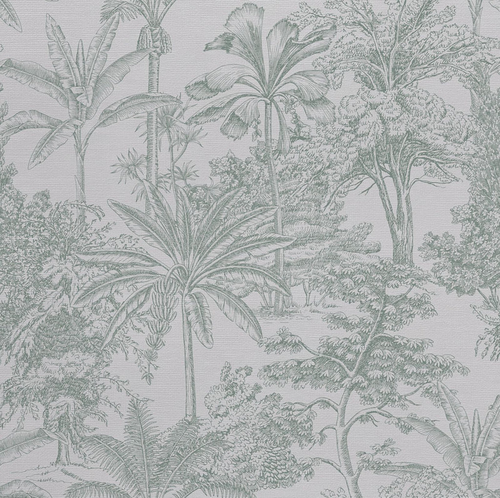 Green Toile Palm Wallpaper : Sketched Tropical Forest Mural - View 2