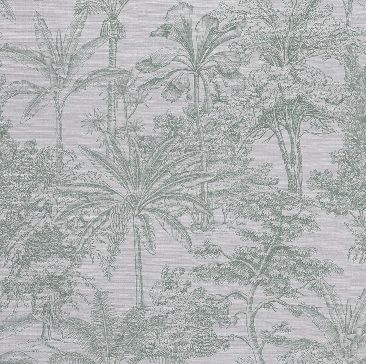 Green Toile Palm Wallpaper : Sketched Tropical Forest Mural - View 2