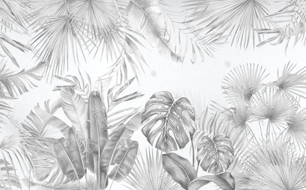 Black And White Monstera Wallpaper : Grey Tropical Leaf Mural - View 2