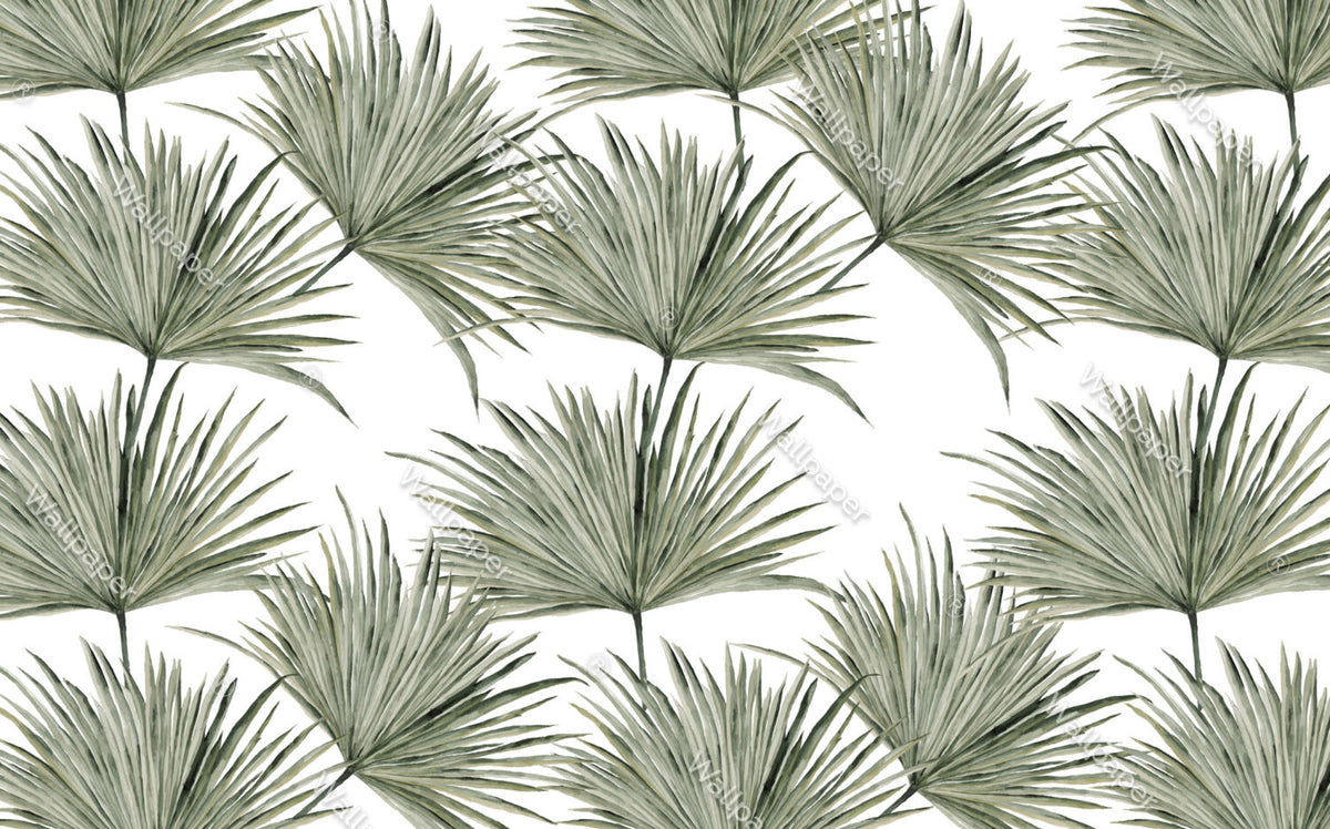 Fan Palm Leaves Wallpaper : Soft Green Botanical Mural - View 2