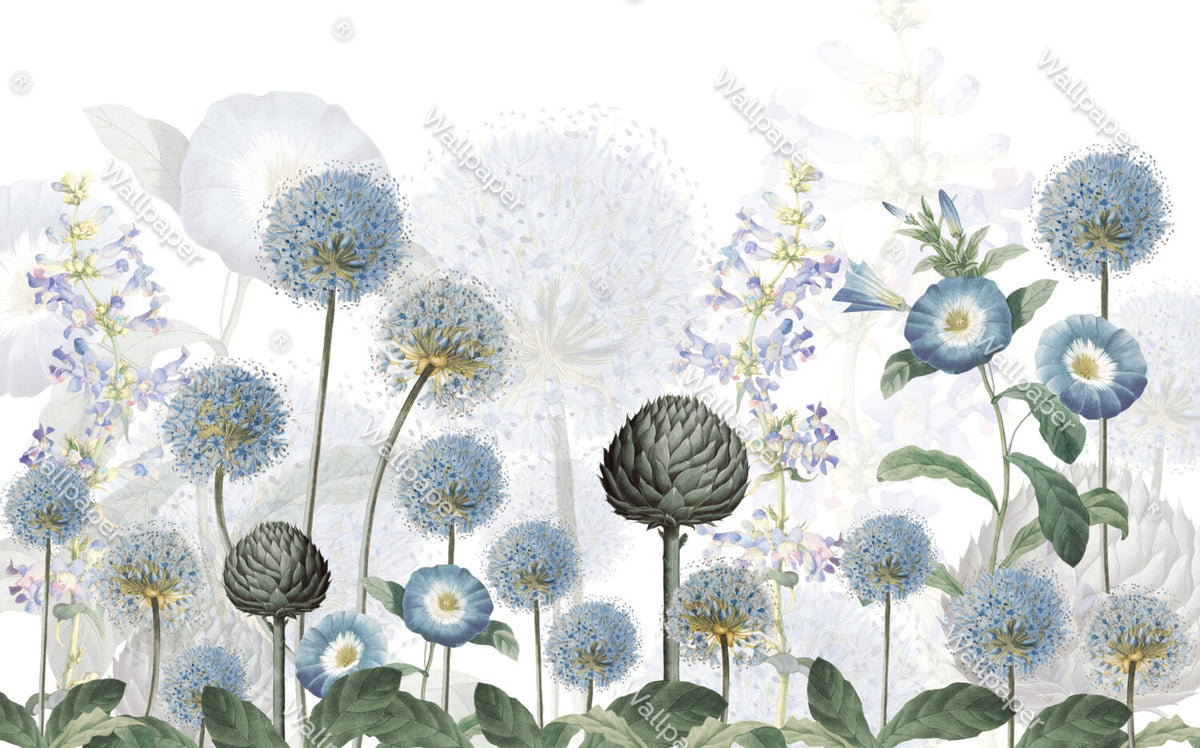 Blue Allium Wallpaper : Dandelion and Morning Glory Mural - View 2