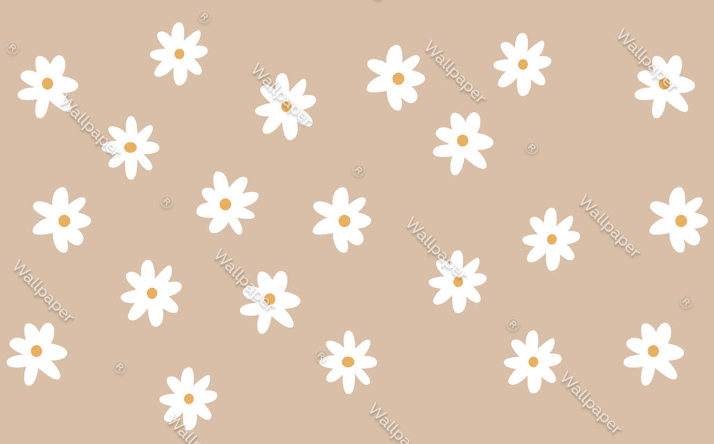 White Daisy Wallpaper : Simple Flowers On Beige Pattern - View 2