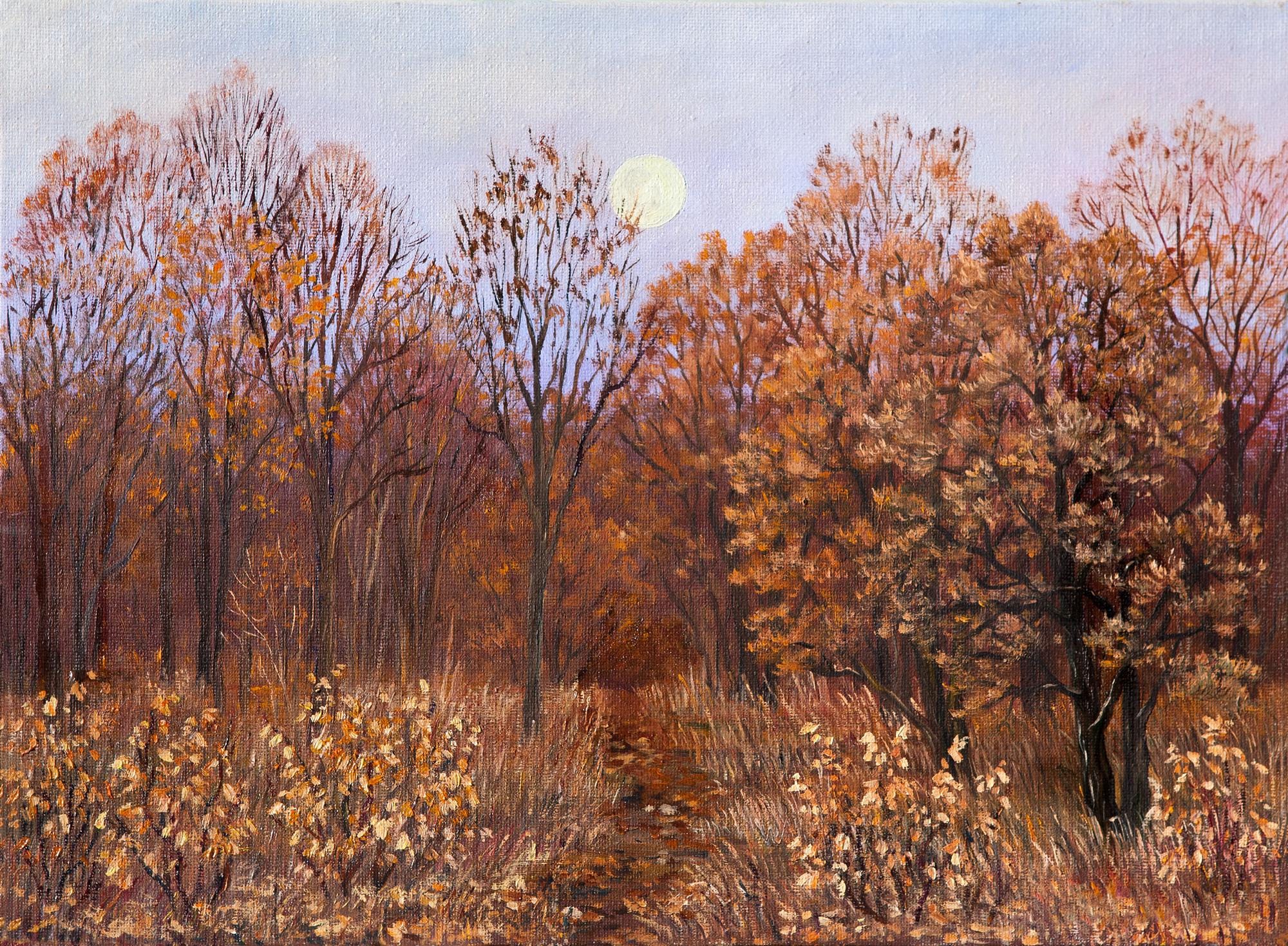 Autumn Forest Wall Mural: Rustic Fall Foliage Peel and Stick Wallpaper - View 6