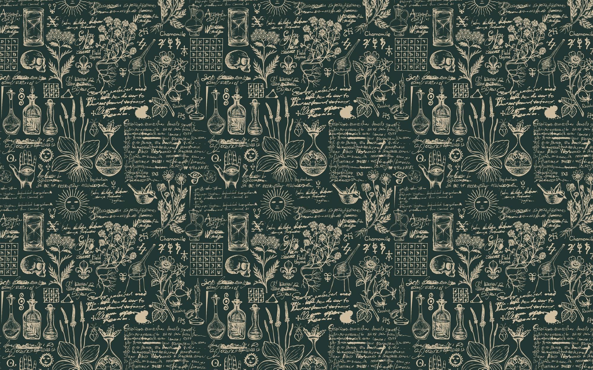 Botanical Herbal Wallpaper Mural: Vintage Apothecary Peel & Stick - View 5