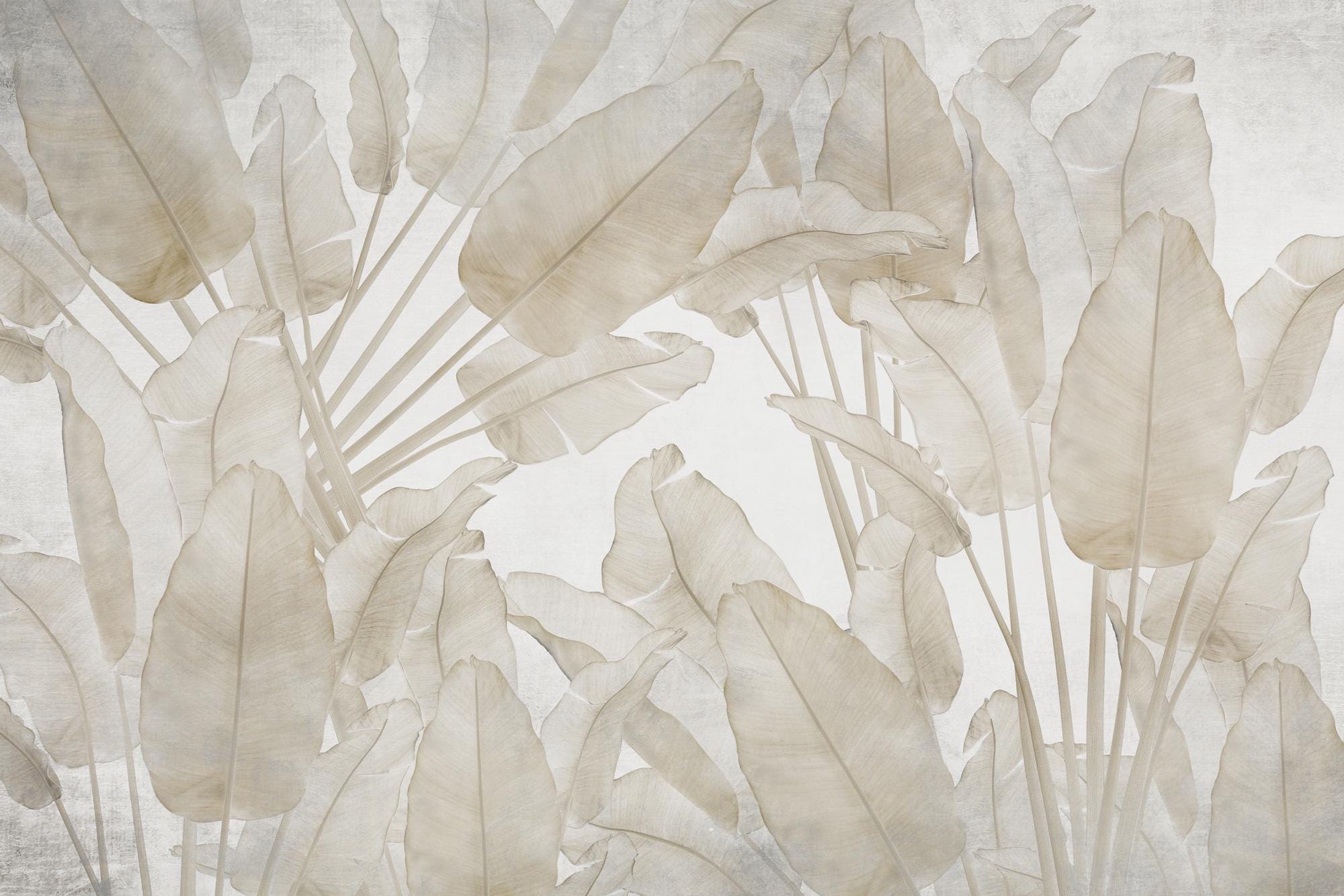 Big Tropical Leaf Wallpaper, Beige Floral Wall Mural, Peel & Stick - View 7