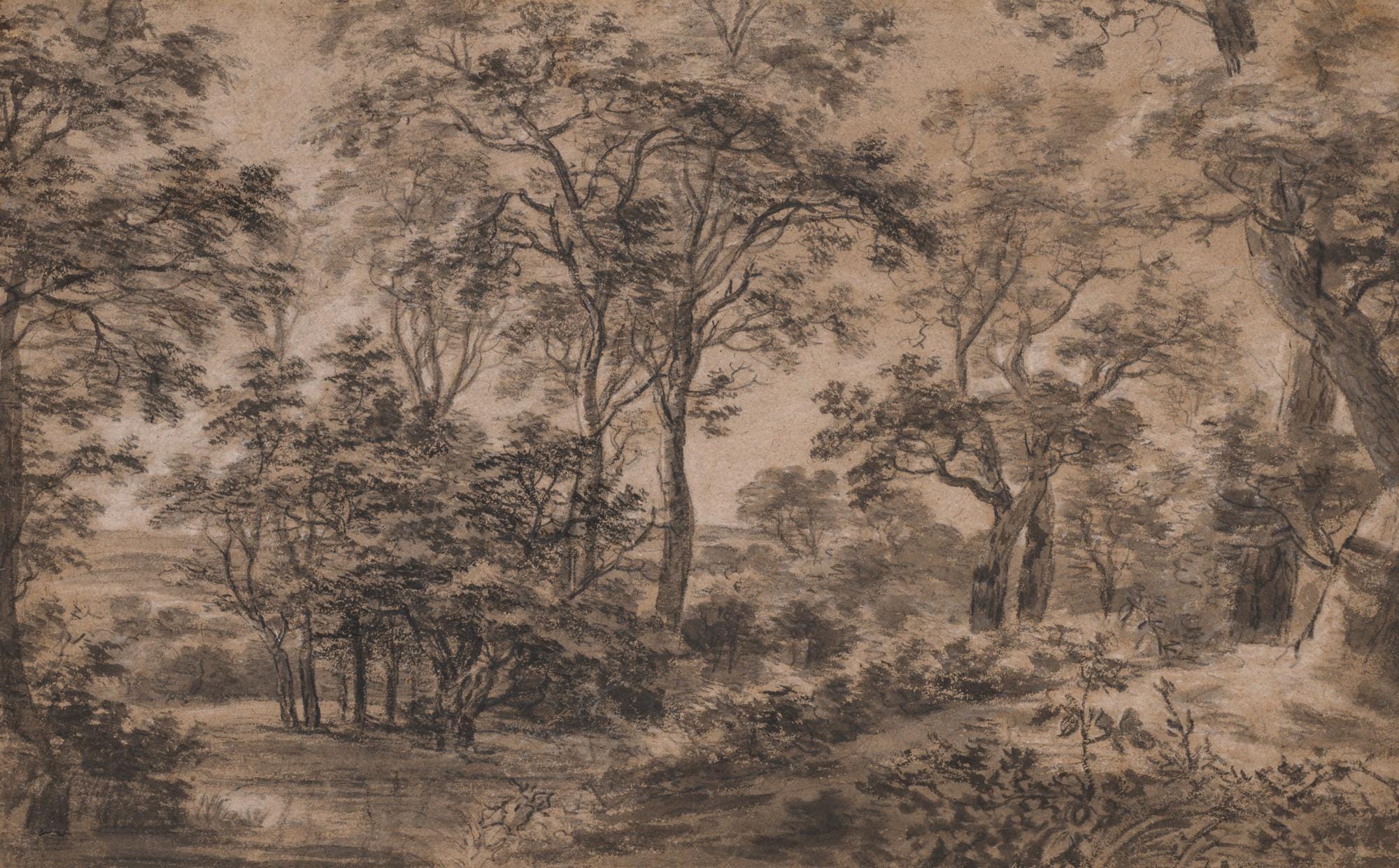 Woodland Landscape Wallpaper Mural - View 2