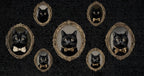 Vintage Cat Portrait Peel and Stick Wallpaper: Gothic Dark Wall Mural - View 5