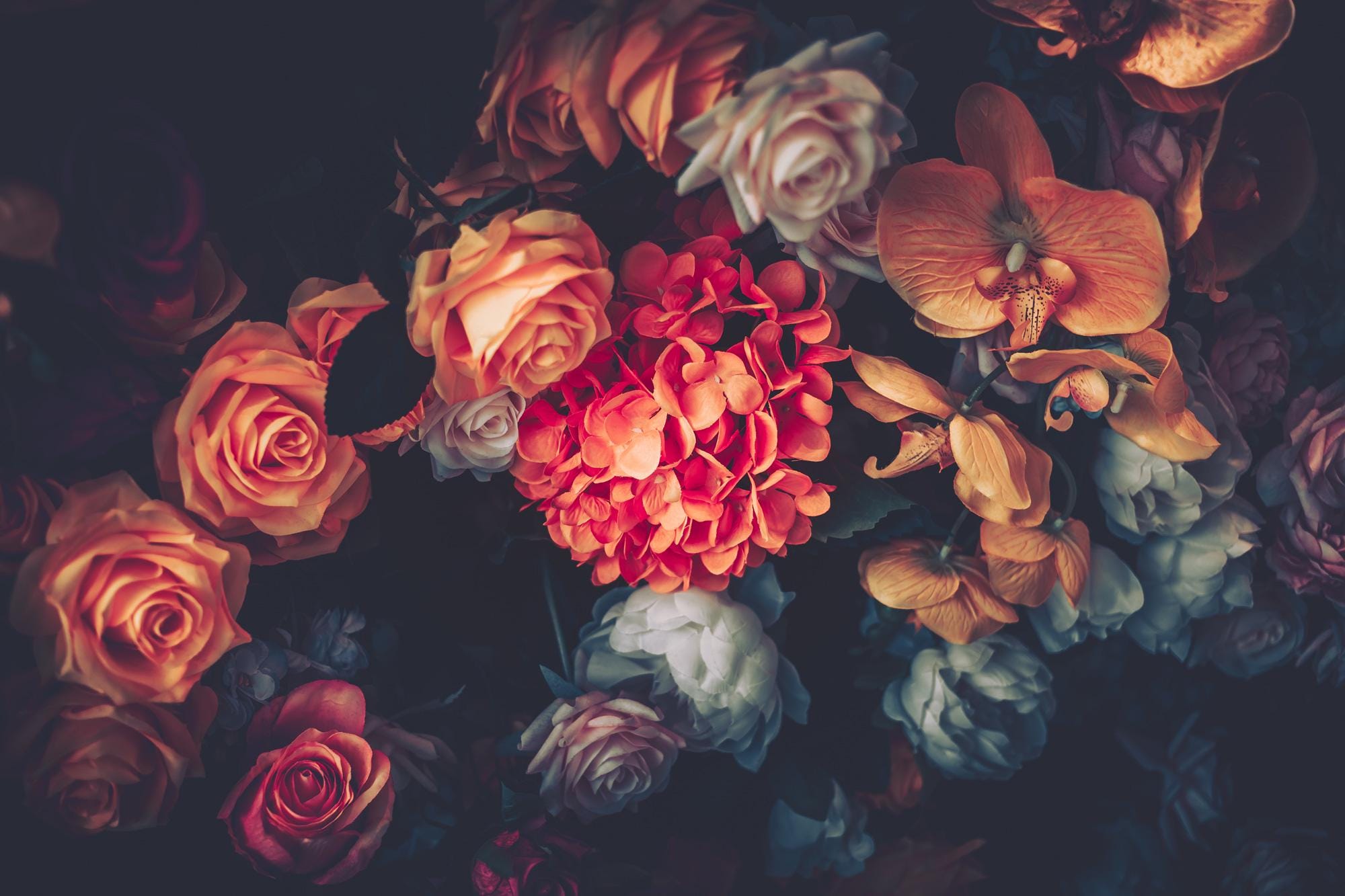 Dark Floral Wallpaper: Peony Peel and Stick Wallpaper - View 5