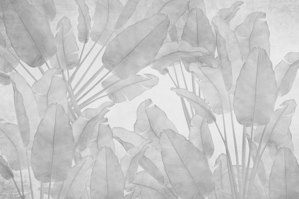 Big Tropical Leaf Wallpaper, Gray Floral Wall Mural, Peel & Stick - View 6