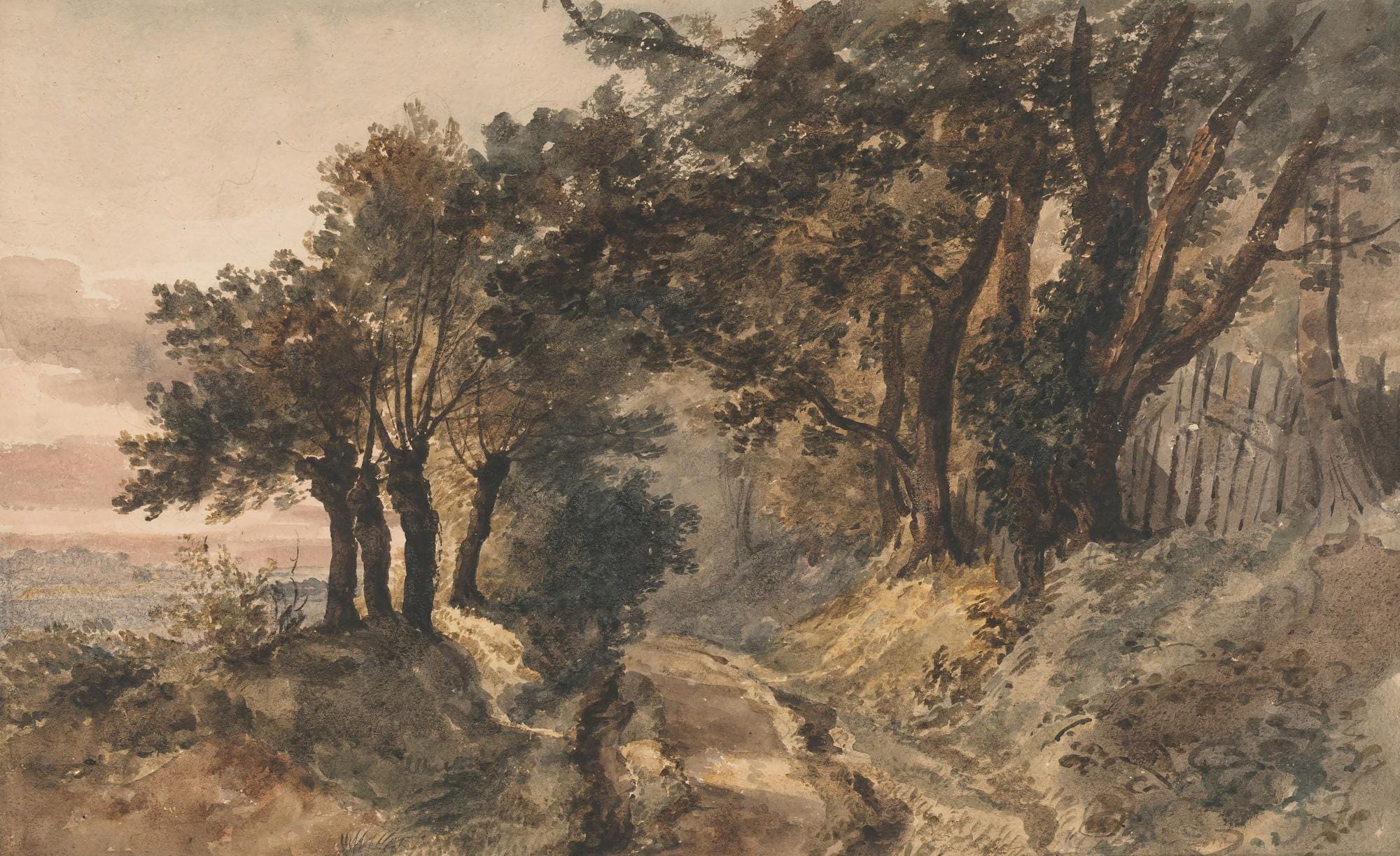 Antique Woodland Landscape Wallpaper, Rustic ScenicPeel and Stick Wall Mural - View 5