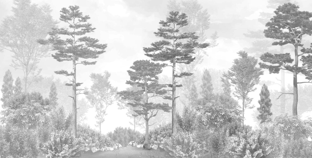 Misty Pine Forest Wallpaper : Grey Monochrome Landscape Mural - flat design