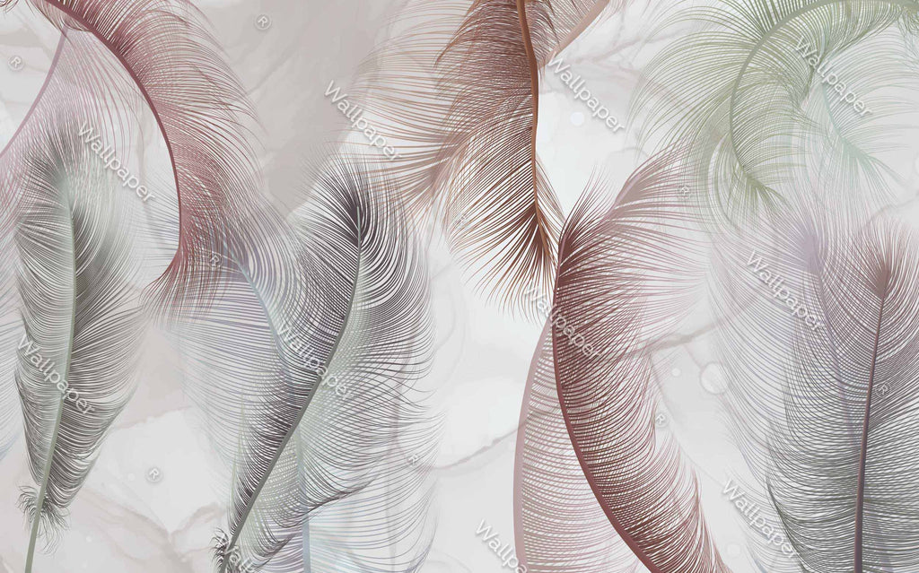 Soft Feather Wallpaper : Pale Grey Plume Mural - View 2