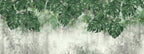 Hanging Monstera Wallpaper : Green Leaves on Distressed Plaster Mural - View 2