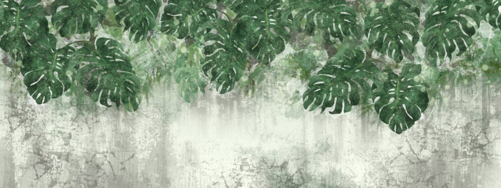 Hanging Monstera Wallpaper : Green Leaves on Distressed Plaster Mural - View 2