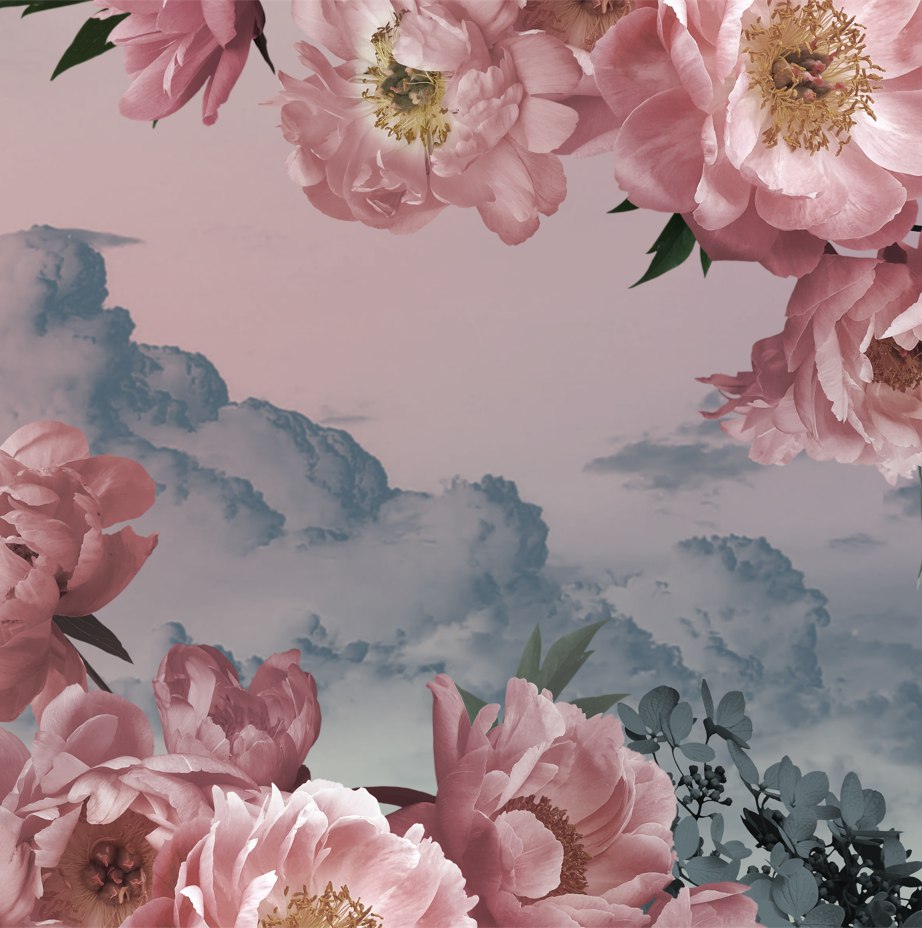 Pink Rose Clouds Wallpaper : Floral Sky Mural - View 2